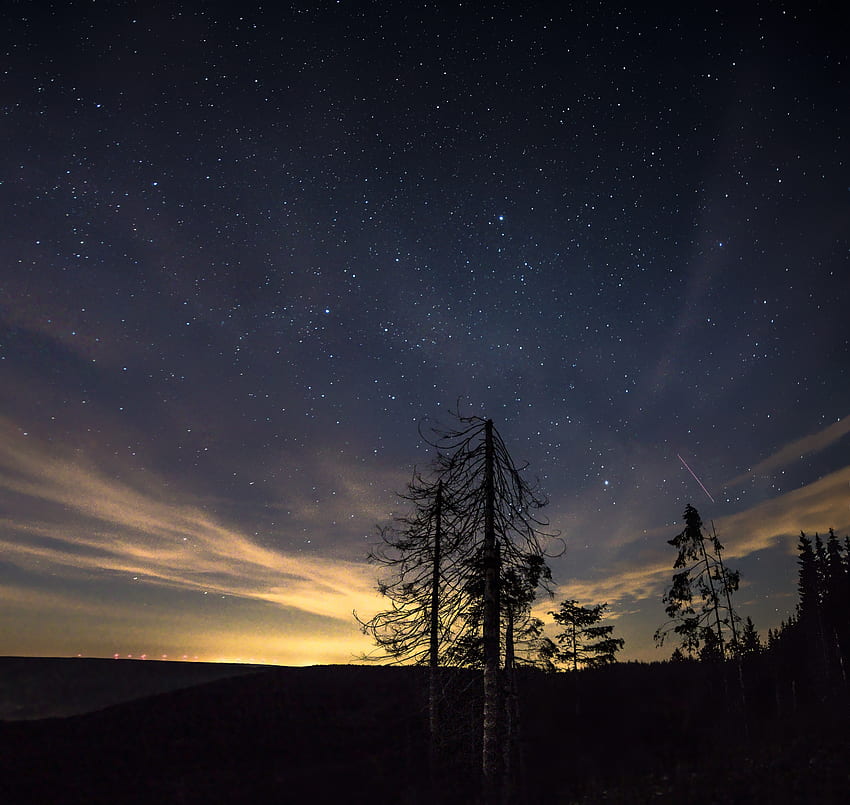 자연, 나무, 별, 밤, 별이 빛나는 하늘, 밤하늘 HD 월페이퍼