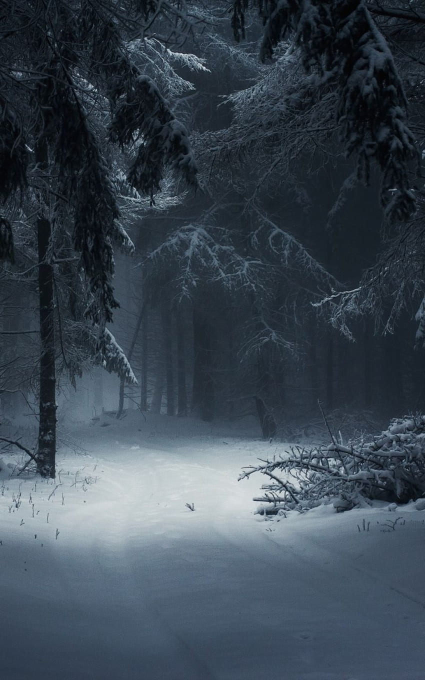 Тъмен зимен телефон, тъмна снежна гора HD тапет за телефон