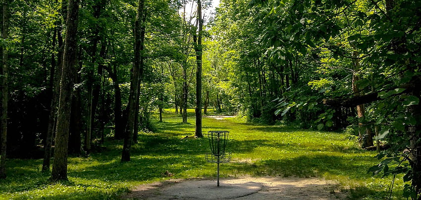 In The Forrest - Disc Golf Woods - & Background, Florida Golf HD wallpaper