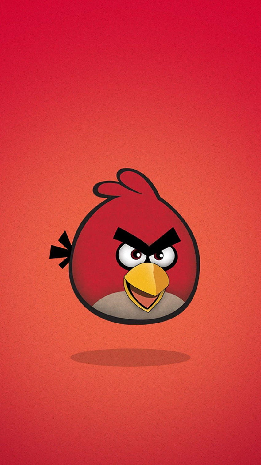 Angry Birds Android, Oiseaux en colère mignons Fond d'écran de téléphone HD