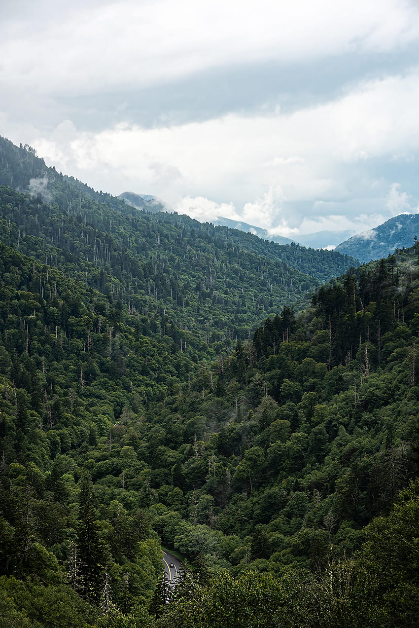Naturaleza, Montañas, Carretera, Bosque, Valle fondo de pantalla del teléfono
