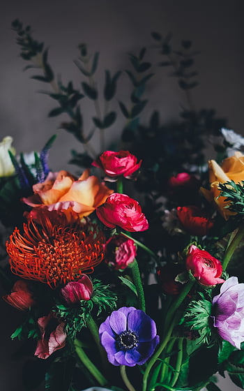 Những bông hoa và cành cây trong hình ảnh mang đến sự tươi mới và vẻ đẹp tự nhiên cho điện thoại của bạn. Với Harry Styles, hoa lá và cành trên Unsplash, bạn có thể khám phá vẻ đẹp độc đáo của thiên nhiên ngay trên màn hình điện thoại của mình. 