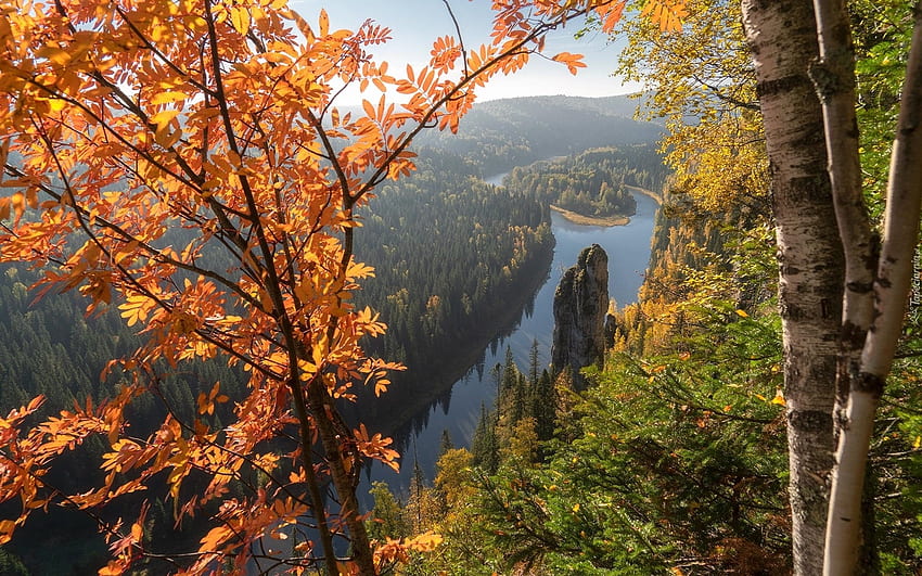 Autumn River, trees, autumn, river, birch, leaves HD wallpaper