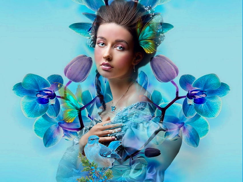 Natures Beauty, blue, purple, butterflies, bird, soft, girl, pastels HD wallpaper