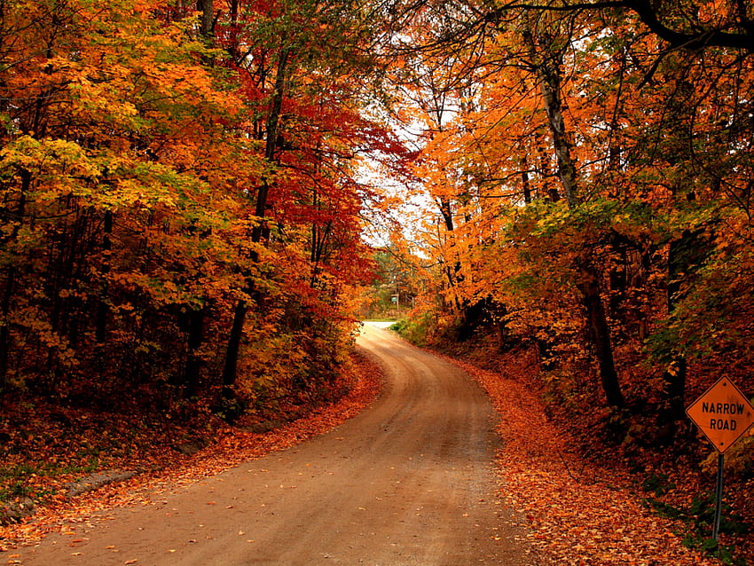 Country Autumn HD wallpaper