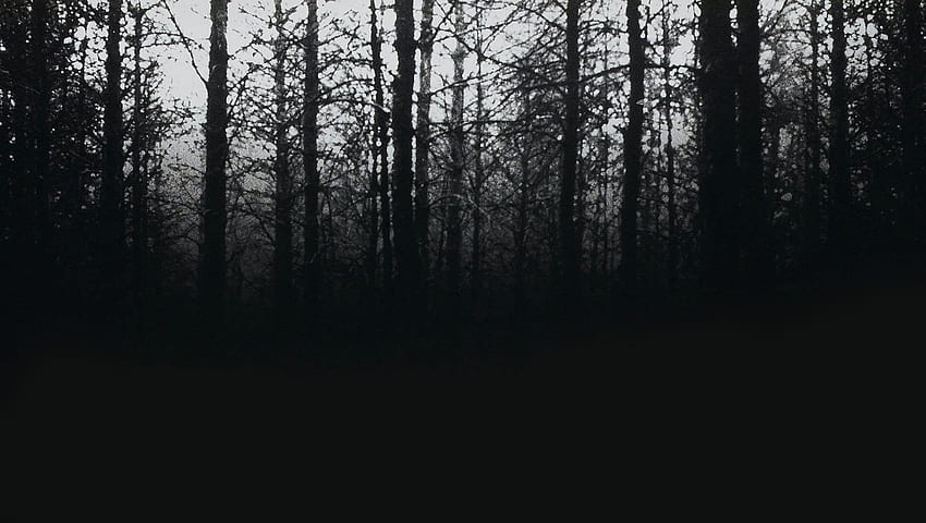 The Blair Witch Project (1999) HD wallpaper