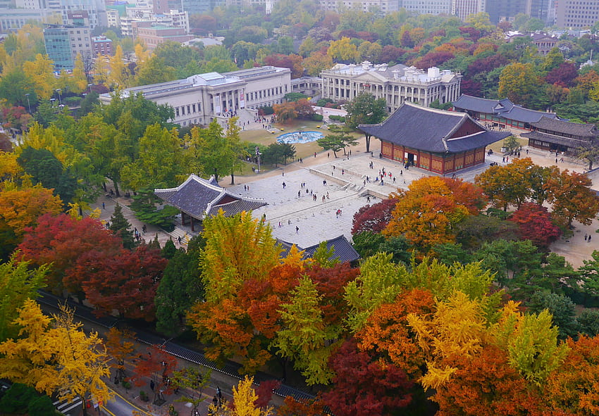 Cityscape in the fall tours, Korea Fall HD wallpaper