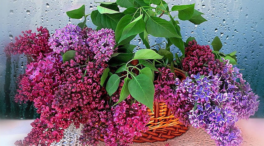 Flowers, Lilac, Drops, Branches, Bloom, Flowering, Greens, Bouquet, Glass, Basket HD wallpaper