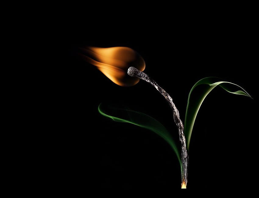 FLAMME, Streichholz, abstrakt, Blume HD-Hintergrundbild