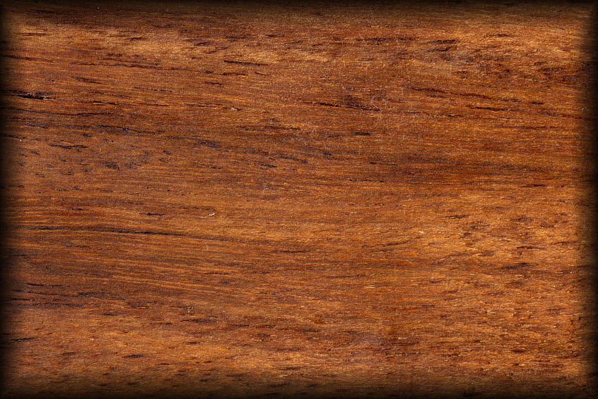 Wood, Tree, Texture, Textures, Board HD wallpaper