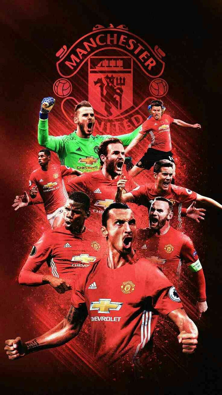 Man Utd, Manchester United Players HD phone wallpaper