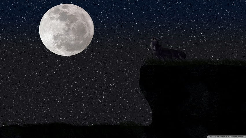 Wolf and Moon ❤ for Ultra TV • Wide, Full Moon Celestial HD wallpaper