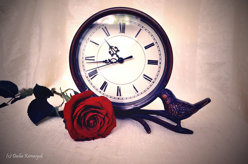 Time Goes By, rose, time, watch, flower, red HD wallpaper