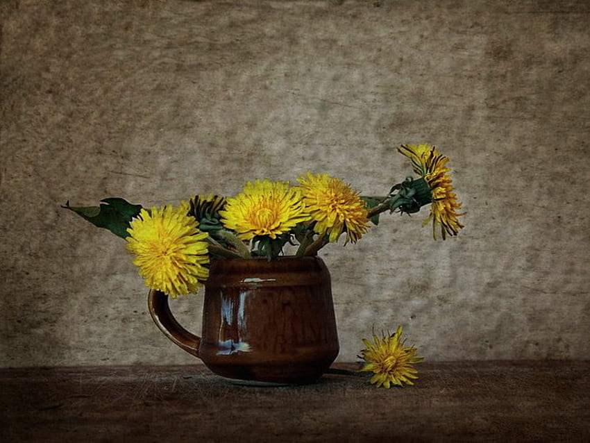 ดอกแดนดิไลอัน เรียบง่าย ชนบท สีเหลือง ดอกไม้ วอลล์เปเปอร์ HD