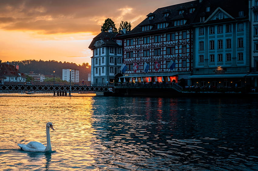 Cities, Building, Evening, Switzerland, Swan, Lucerne HD wallpaper