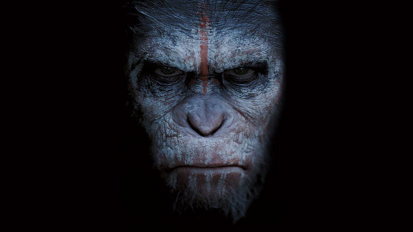 Caesar Planet of the Apes HD Wallpapers and Backgrounds