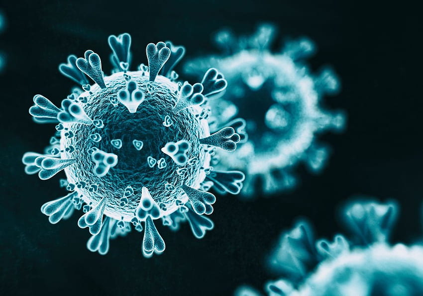 Scientists Compare Novel Coronavirus with SARS and MERS Viruses. The Scientist Magazine®, Stop Coronavirus HD wallpaper