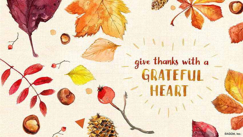 Bon mois de novembre! (Numérique) - American Greetings Blog, Gratitude Fond d'écran HD