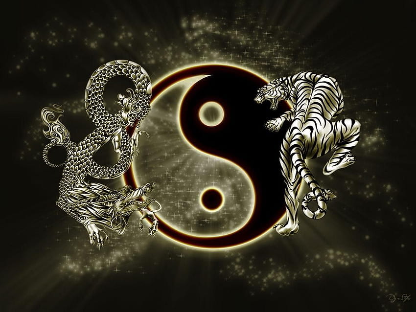 Dragon Yin Yang - Condiviso, Tiger vs Dragon Sfondo HD