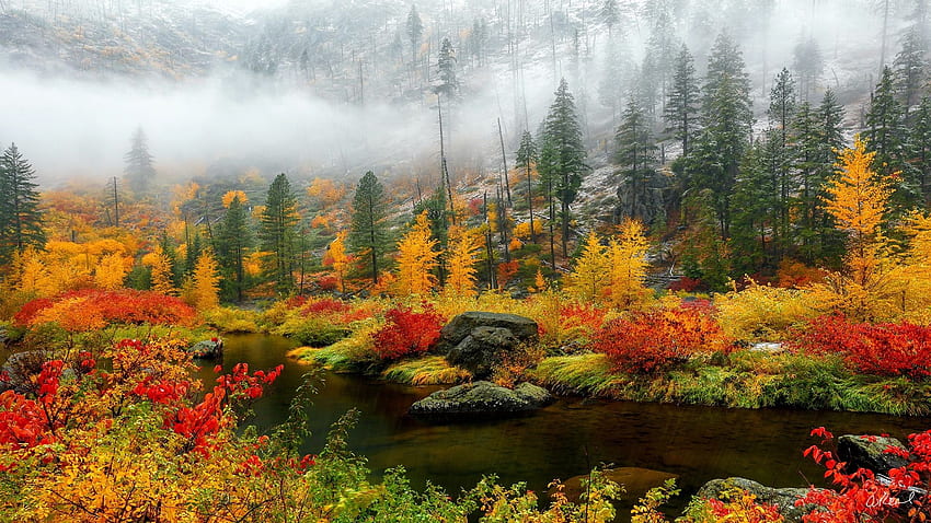 Colors of Fall, reflections, mist, river, leaves, autumn, trees, water ...