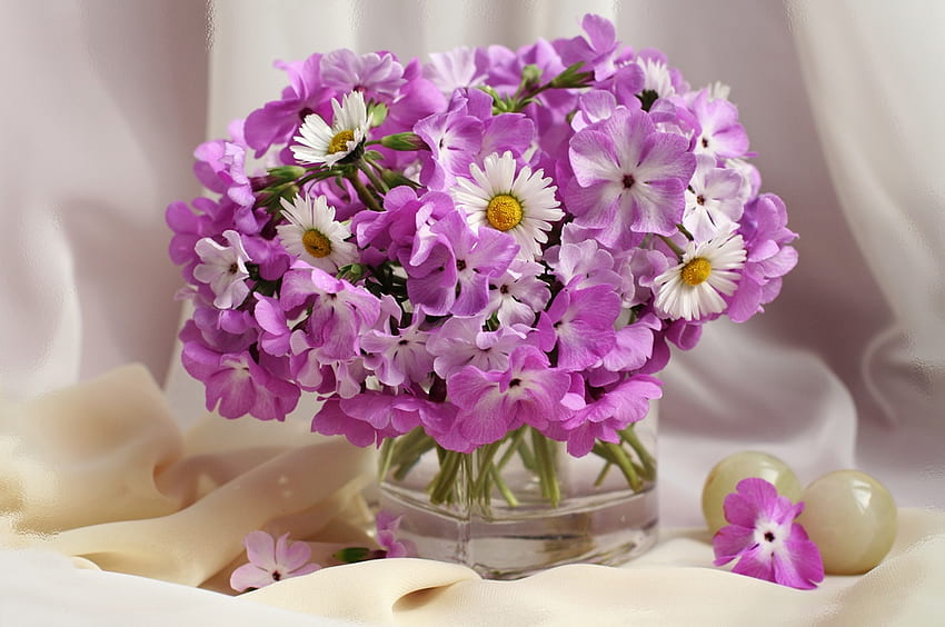 ดอกเดซี่ หุ่นนิ่ง กราฟิ กลีบดอก สี แจกัน ดอกไม้ วอลล์เปเปอร์ HD