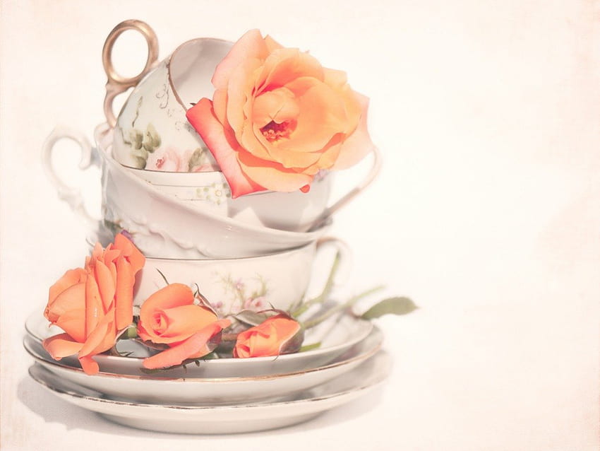 Tea cups and roses, sweet, cups, tea, roses, orange, lovely HD wallpaper