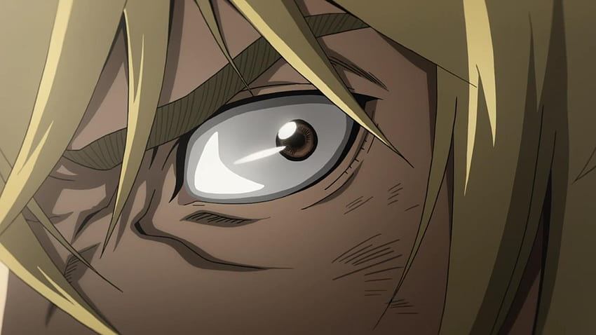 Vinland Saga (anime), Vinland Saga Wiki