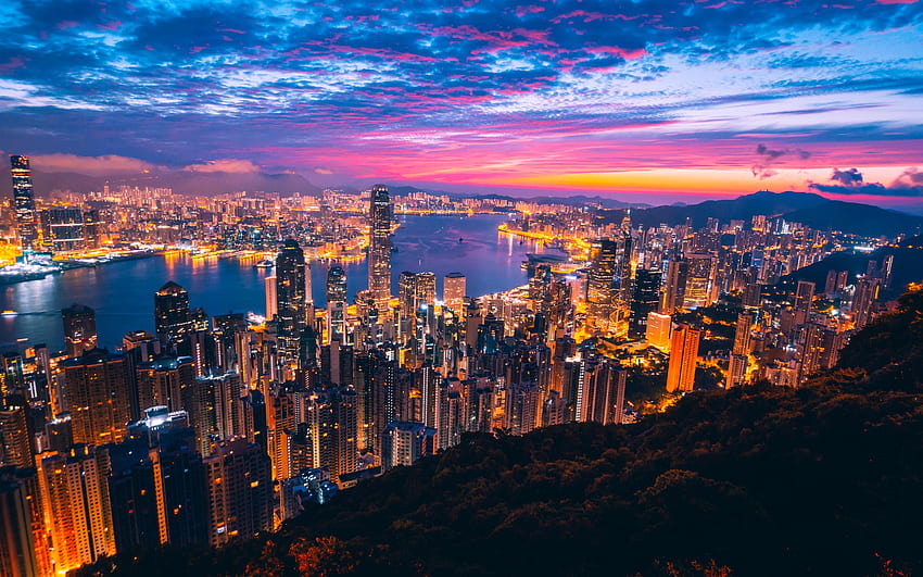 Hong Kong City View Buildings Light Night, World HD wallpaper