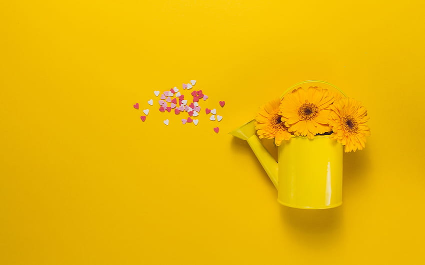 :), flower, yellow, card, watering can, spring, orange HD wallpaper
