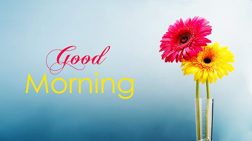 Good Morning Messages, , Cute Good Morning HD wallpaper | Pxfuel