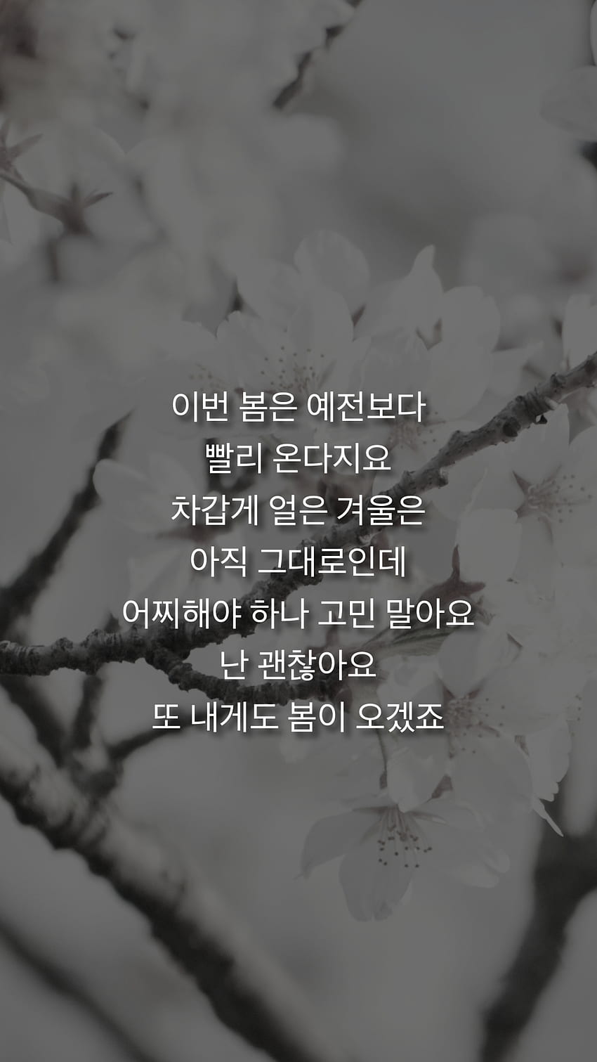 testi di jonghyun. Citazioni coreane, parole coreane, testi, proverbi coreani Sfondo del telefono HD