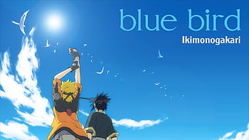 Blue Bird Naruto Wallpapers  Top Free Blue Bird Naruto Backgrounds   WallpaperAccess