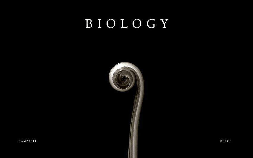 Biology, Biology Lab HD wallpaper