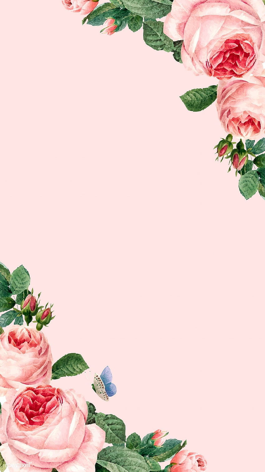 Background pastel pink flower HD wallpapers | Pxfuel