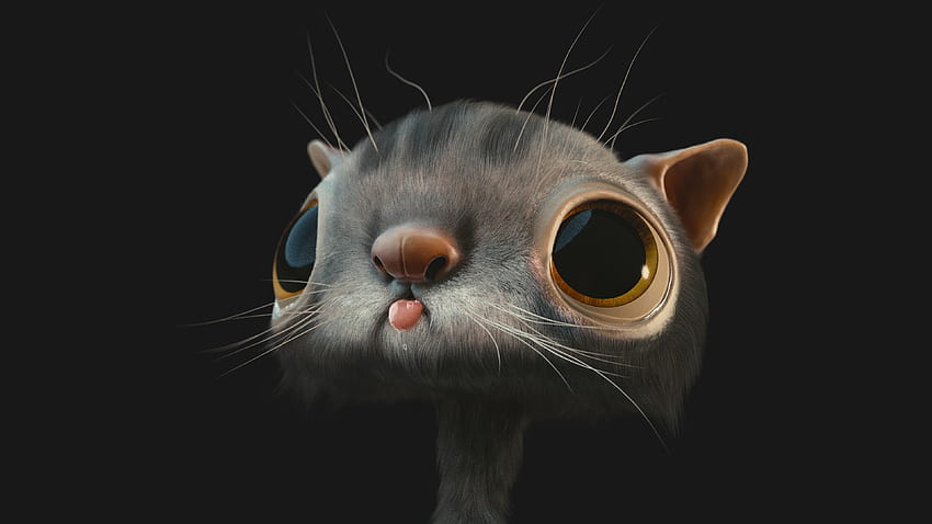 Weird And Funny Background, Weird Cat HD wallpaper