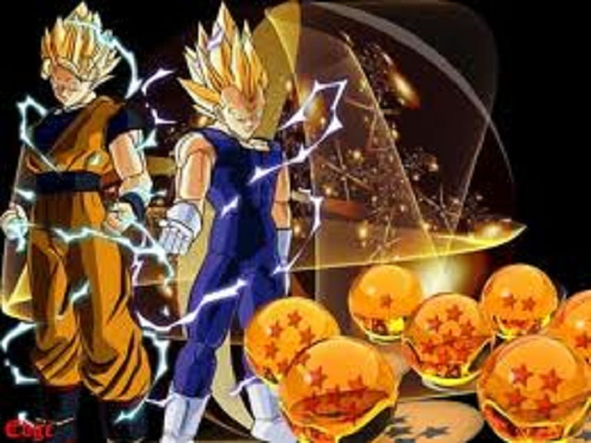 Goku, Vegeta e as Esferas do Dragão, goku, vegeta, dragonball z, dbz, dragonballs, dragonball papel de parede HD