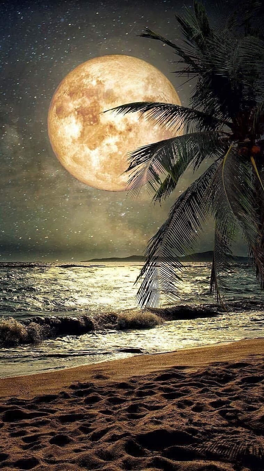 Cahaya Bulan, Bulan, Cahaya wallpaper ponsel HD