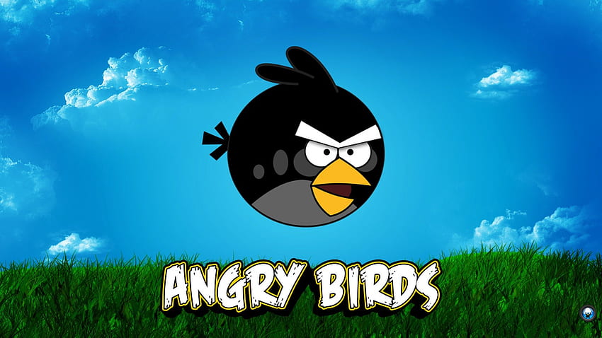 Angry Birds - Siyah versiyon, kızgın, kuşlar, kuş, kızgın kuşlar HD duvar kağıdı