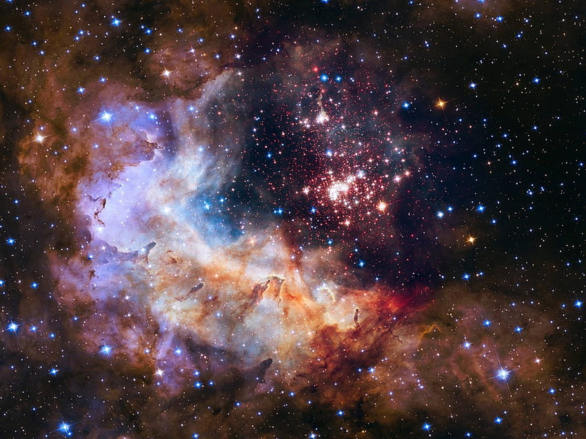 Клъстер и звездоуващ регион Westerlund 2, галактика, забавление, космос, готино, звезди HD тапет