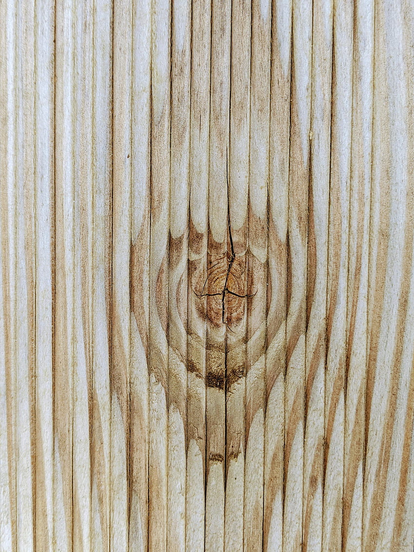 Wood, Tree, Texture, Textures, Brown HD phone wallpaper