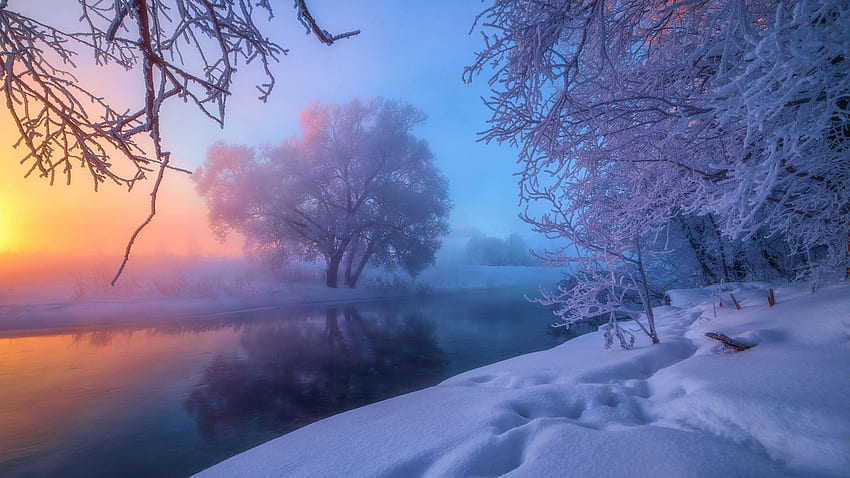Frosty Morning, ciel, glace, neige, couleurs, paysage, lever de soleil Fond d'écran HD