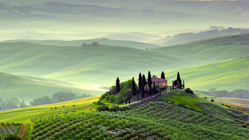 greens, trees, landscape, nature, fog, dawn, hills, field, morning, Italy, Italy, Tuscany, Toscana, Pienza, Pienza, Tuscany, section landscapes in resolution, 2560X1440 Tuscany HD wallpaper