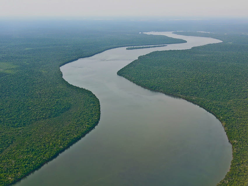 rio, Amazonas, Brasil, Sudamerica, Selva / and Mobile Background HD wallpaper