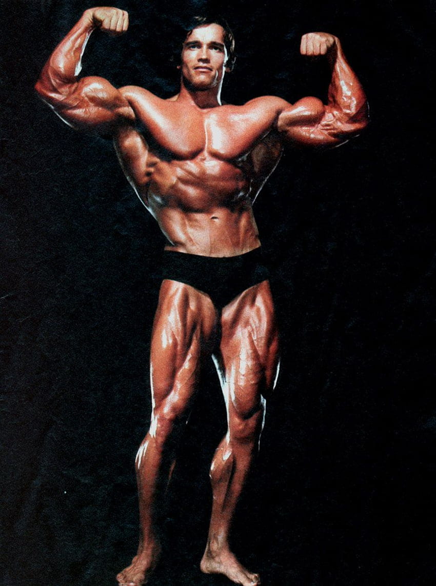 Arnold Schwarzenegger iPhone, Bodybuilding di Arnold Schwarzenegger Sfondo del telefono HD