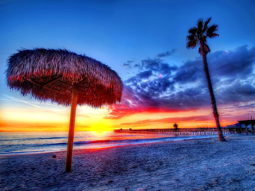 Playa, naturaleza, puesta de sol, mar, arena, palmeras, trópicos, generosamente, es hermoso fondo de pantalla