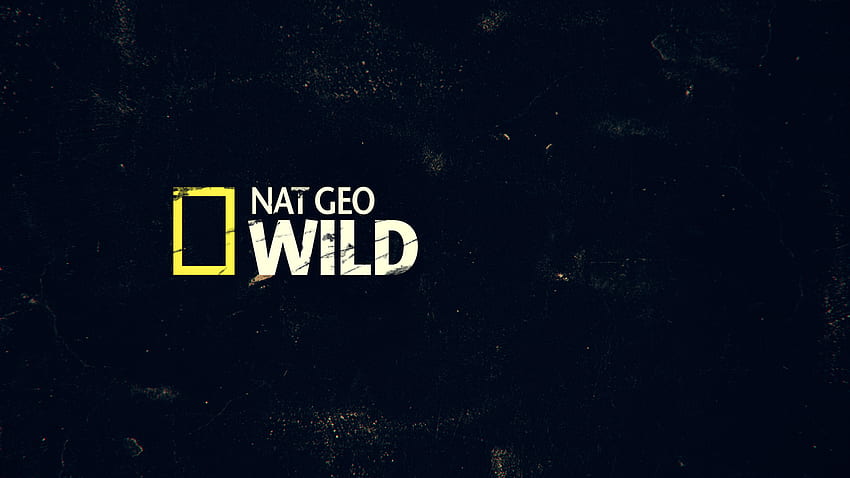 Logo National Geographic, dzikie logo Tapeta HD