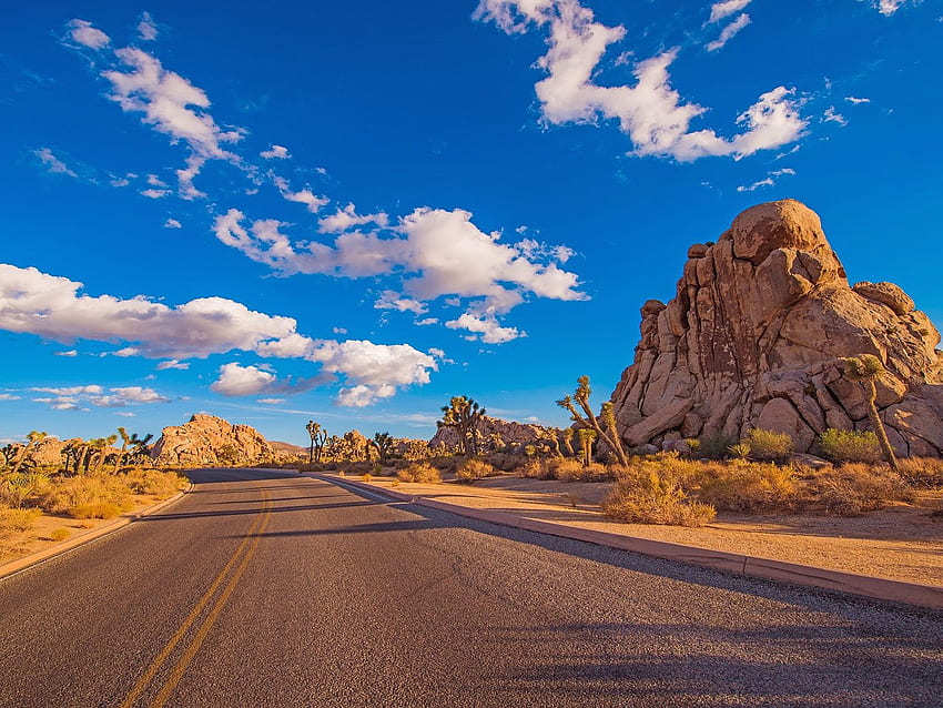 砂漠の道, ジョシュア ツリー, 国立公園, ある, a, 保護された, 区域, 中に, 南カリフォルニア, ∥で∥, 険しい, 岩, 層, そして, 厳しい, 砂漠, 景色, カリフォルニア, アメリカ 高画質の壁紙