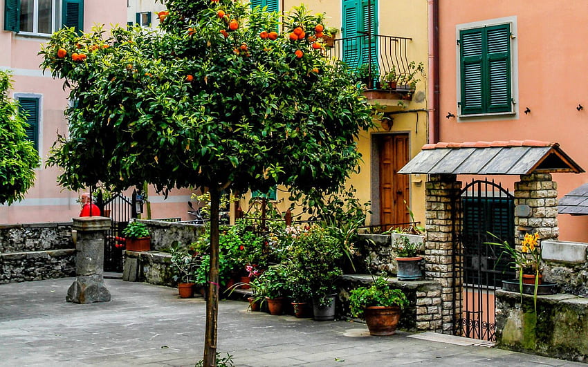 Şehirler, Italya, Bina, Sokak, Cinque Terre HD duvar kağıdı