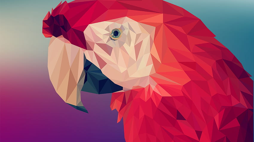 Digital Art, Parrot, Polygon, , 6K, Art, Parrot OS HD wallpaper