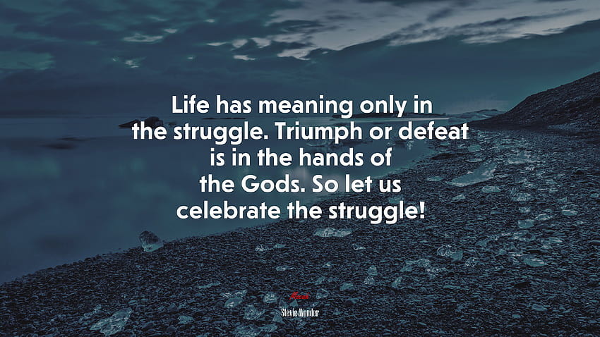 Life has meaning only in the struggle. Triumph or defeat is in the hands of the Gods. So let us celebrate the struggle!. Stevie Wonder quote, . Mocah, Struggling HD wallpaper